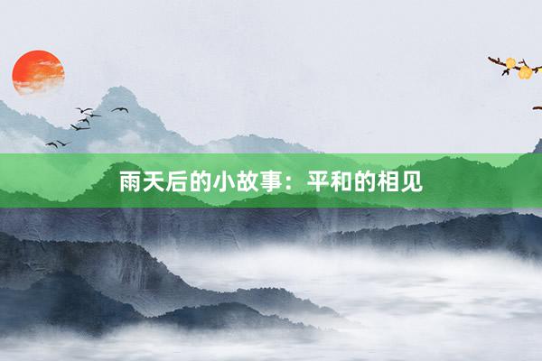 雨天后的小故事:平和的相见
