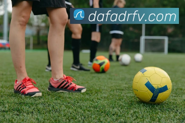 大发彩票平台生态图